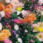 Цветы – праздник жизни